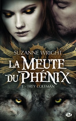 Livre lu par Kira7780 et Liamade en Lecture commune