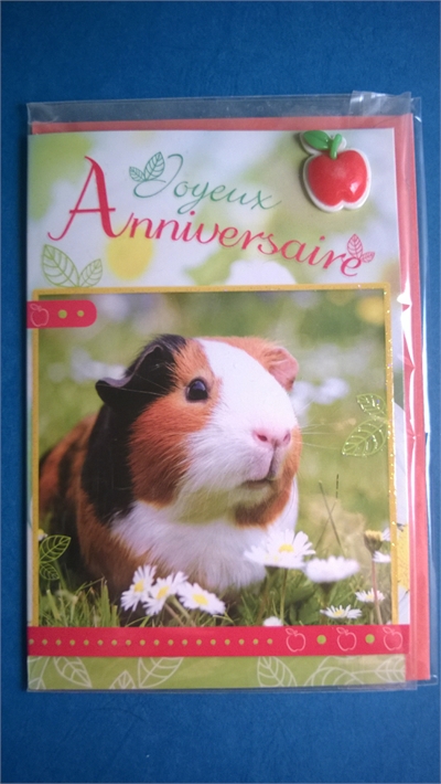 CARTE POSTALE ANNIVERSAIRE AVEC ENVELOPPE - BELLOU TOILETTAGE - TOULON VAR