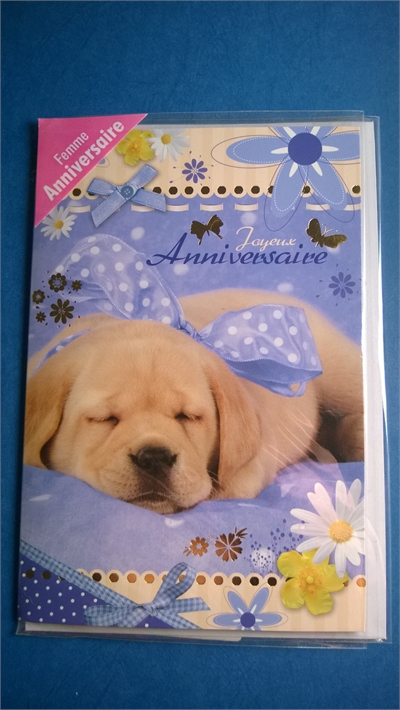 Accessoires Chiens Bellou Toilettage Toulon La Serinette Var