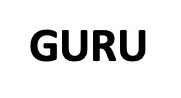 Wat is een Guru?