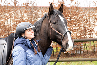 Der Reitsport sollte verboten werden?!