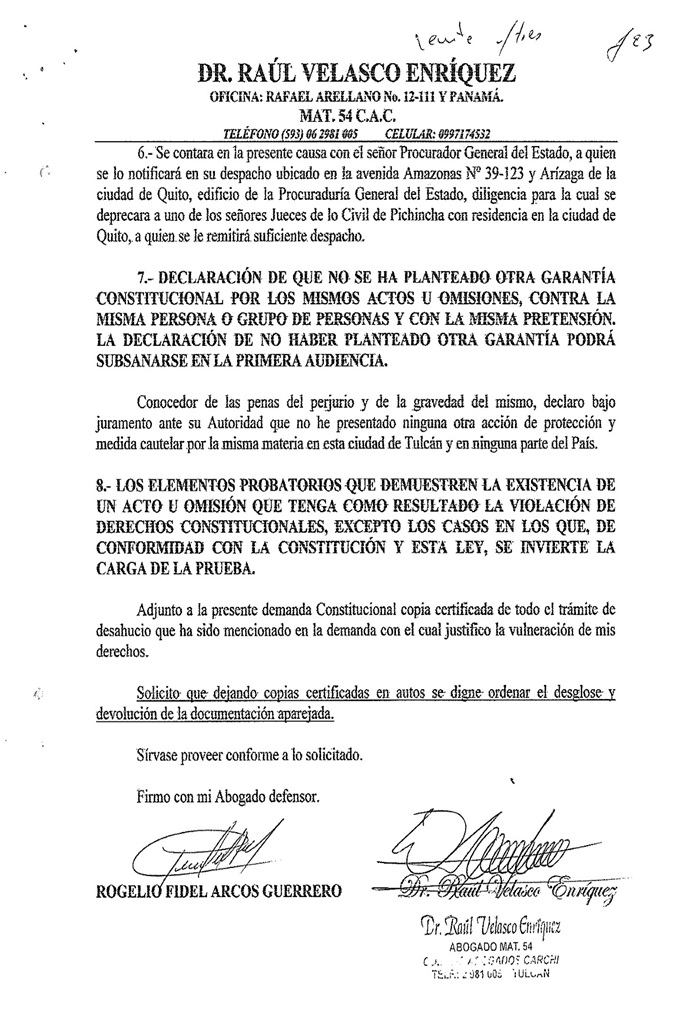 DEMANDA ESCRITA DE LA ACCION ORDINARIA DE PROTECCION