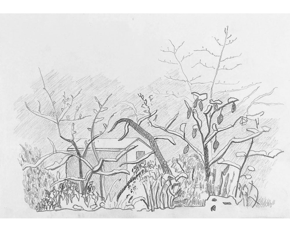 Winter, 2022, Grafit auf Papier, 21 x 29,7 cm