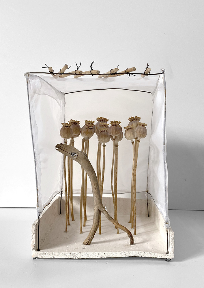 Gehäuse (5), 2022, Draht, Holz, Pflanzen, Ton, Transparantpapier, 16,5 x 17 x 22 cm