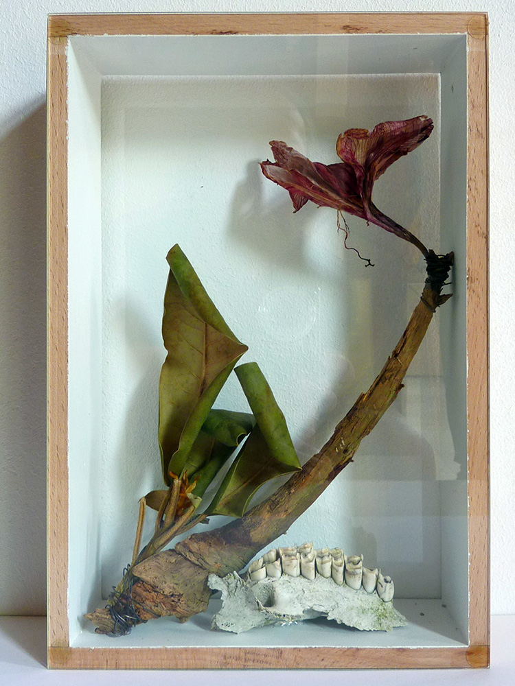 Diorama (3), 2014, Draht, Glas, Holz, Knochen, Pflanzen, 30 x 20 x 6,5 cm