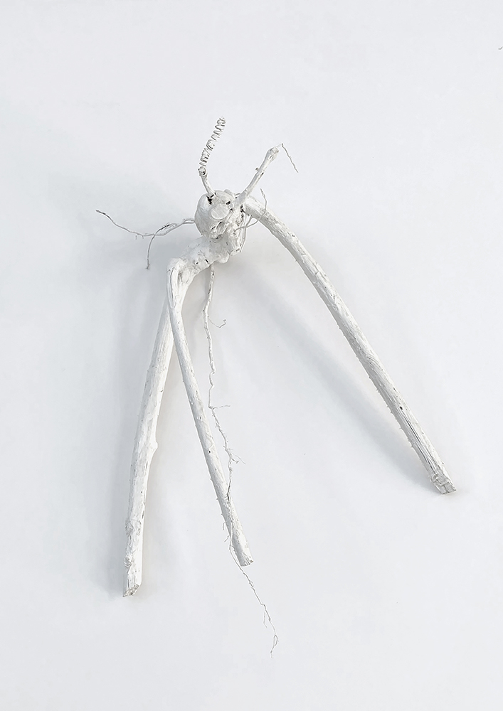 Rubus (10), 2014, Wurzelholz, Draht, koloriert, 49 x 17 x 19 cm