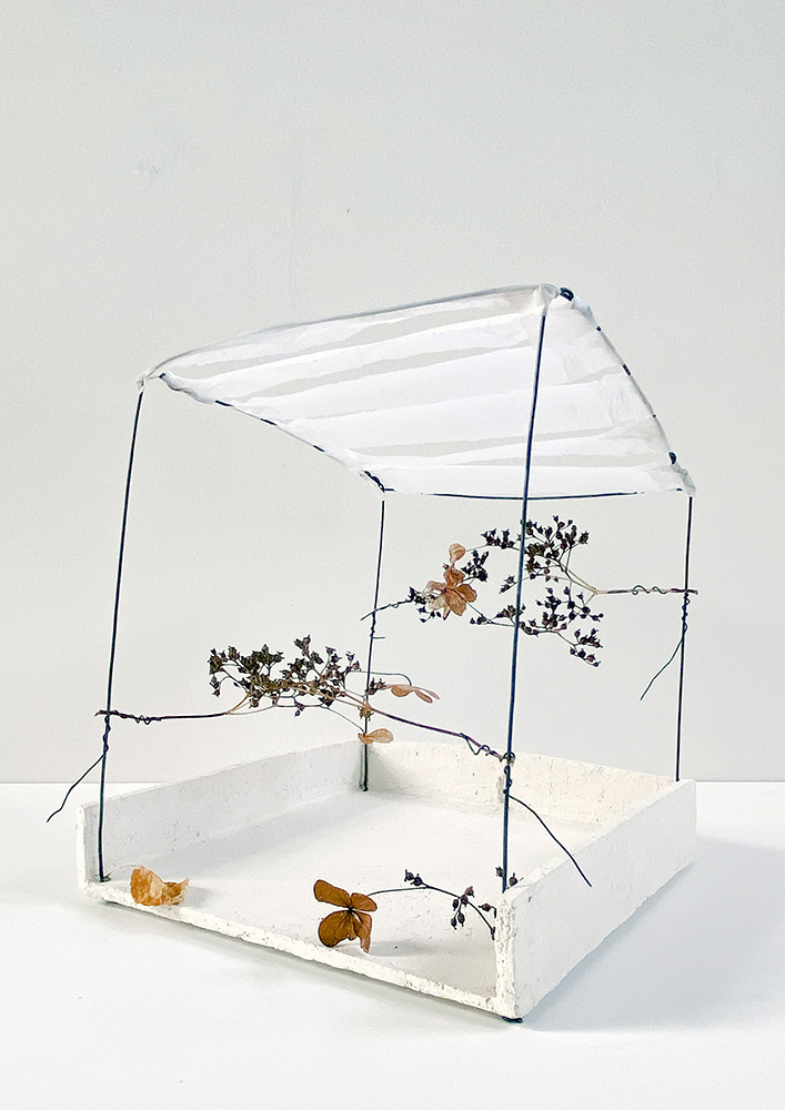 Gehäuse (10), 2022, Draht, Kletterhortensie, Ton, Transparentpapier,18,5 x 21 x 21 cm