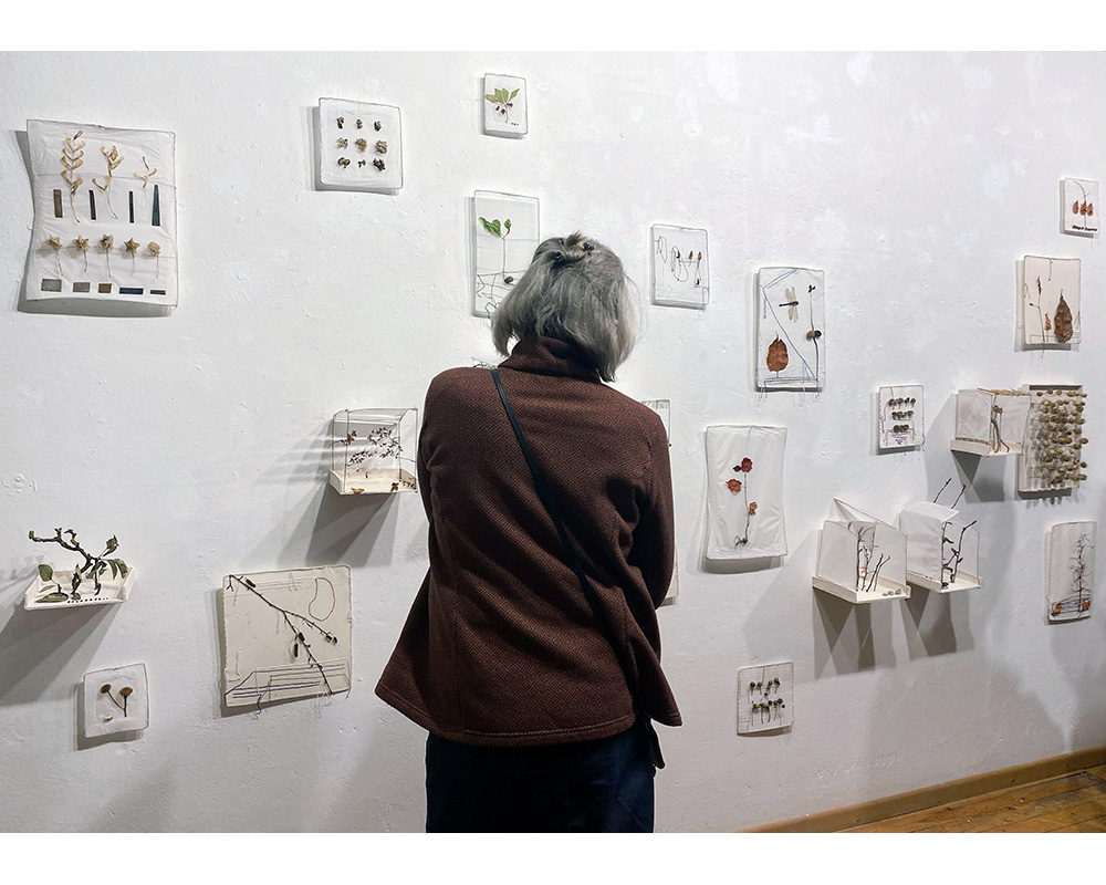 Knospe, Blüte, Blatt, Samen, 2023, Galerie Schröder und Dörr, Bergisch Gladbach