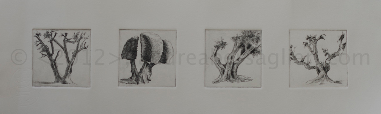 Olive Trees, 7x20", Drypoint and Etching, 2012