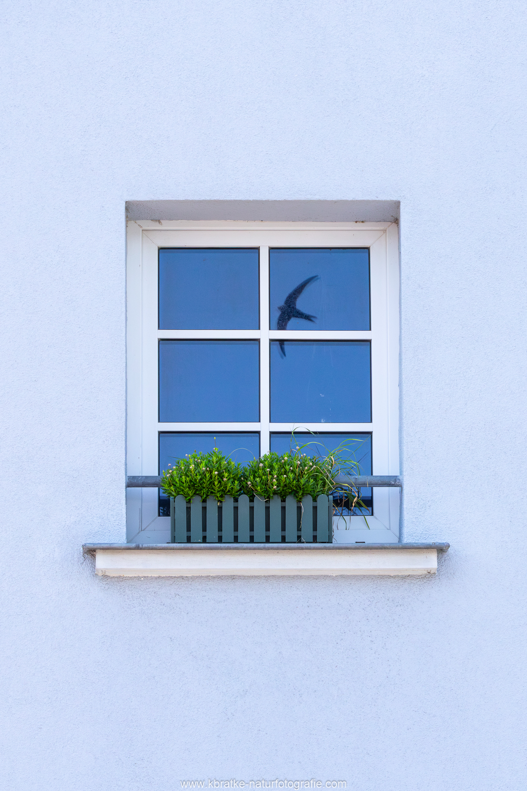 Reflektion