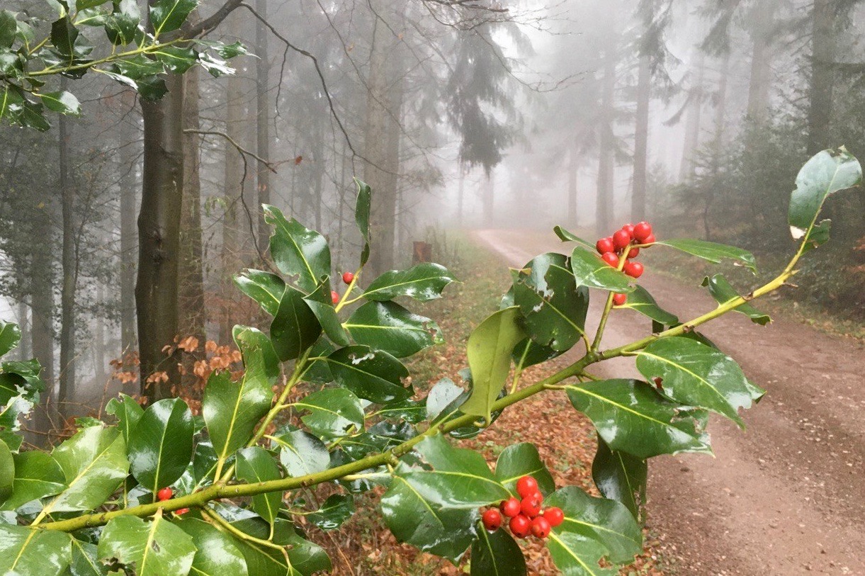 Comment passer un hiver en pleine forme ?