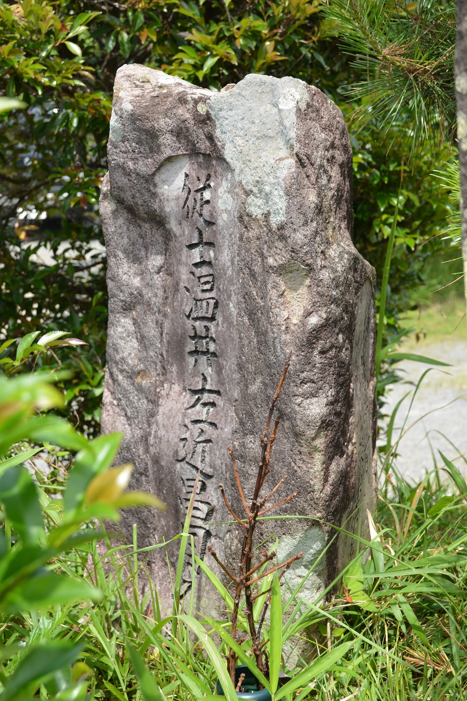 設楽原八束穂　土屋昌次(昌続)と温井左近昌国墓碑　～墓場放浪記～