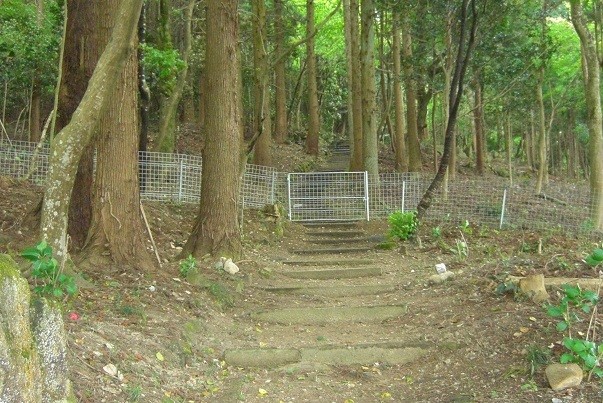 観音寺城の戦い　走為上　箕作城の敗けっぷり～墓場放浪記～