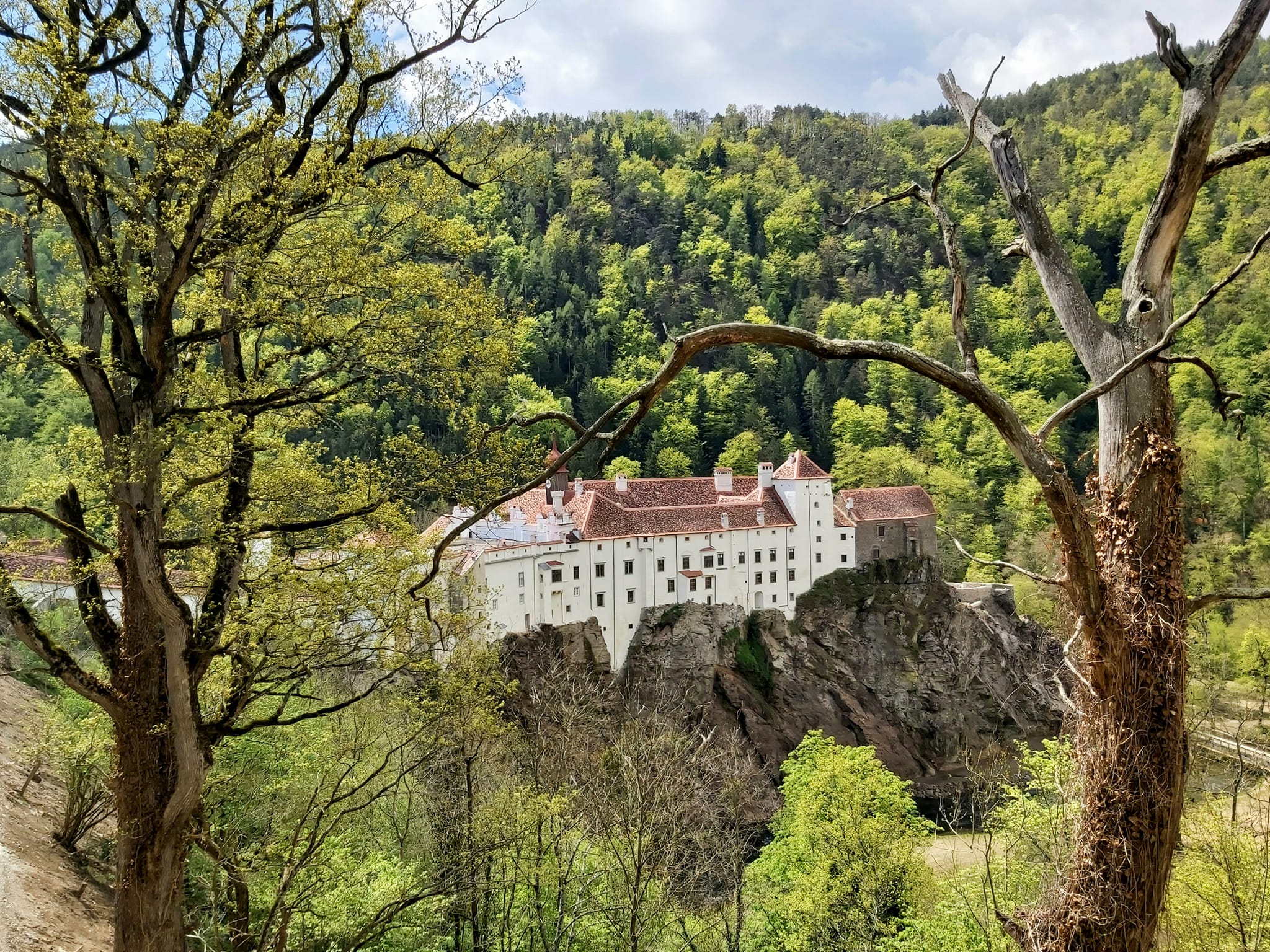 Schloss Herberstein © Oststeiermark Tourismus | Christine Pollhammer