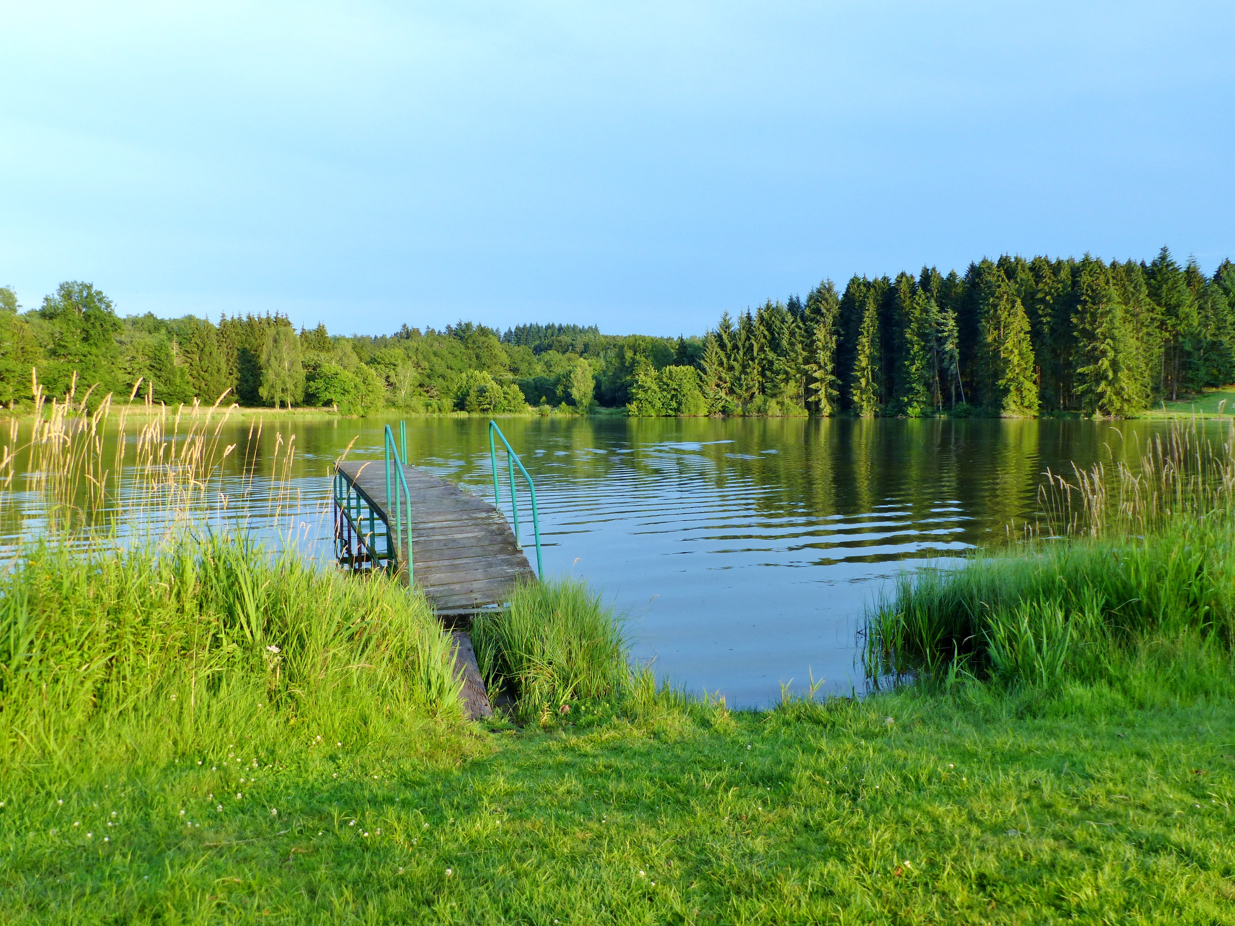 peche truite waben