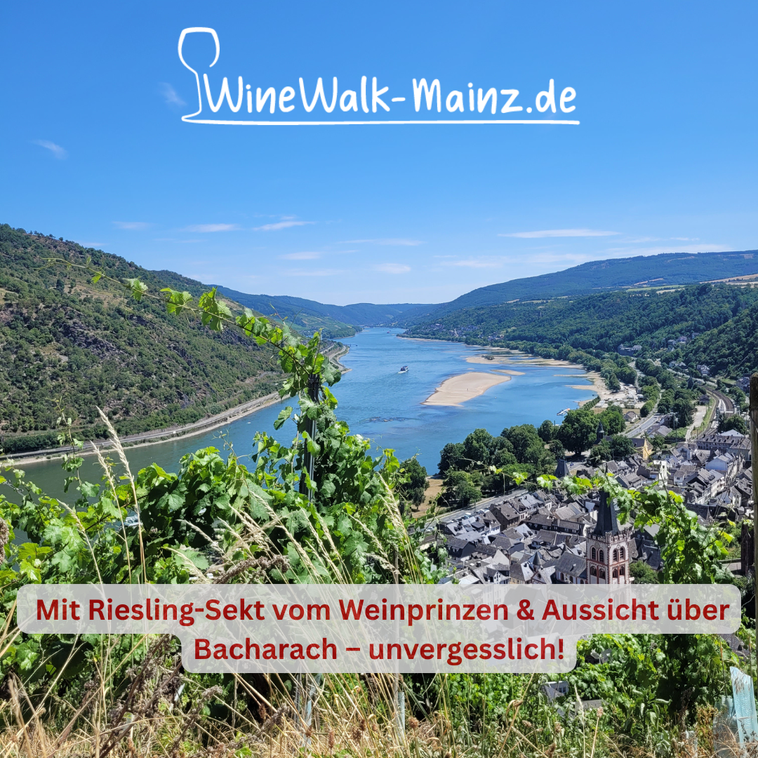 WineWalk Mainz: Incentive-Weintour nach Bacharach am Mittelrhein
