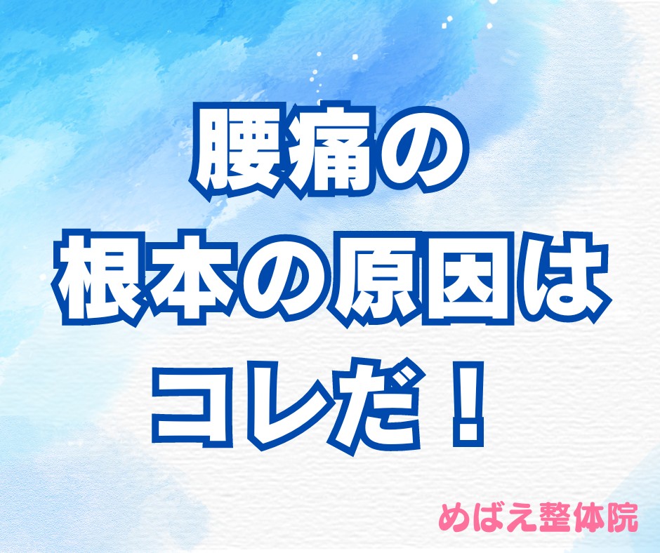 腰痛の根本原因はコレだ！