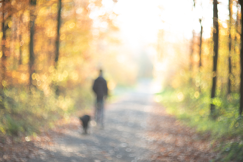 Fotowalk im Zeilwald