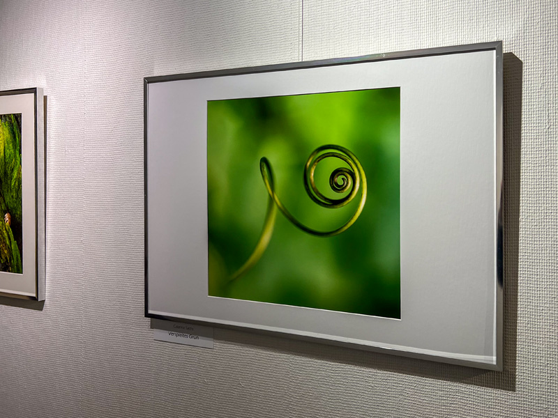 Foto: Jürgen Butscher