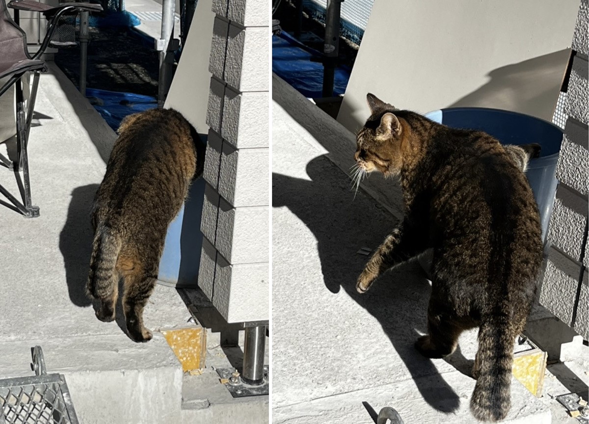 ウワサのお客様
