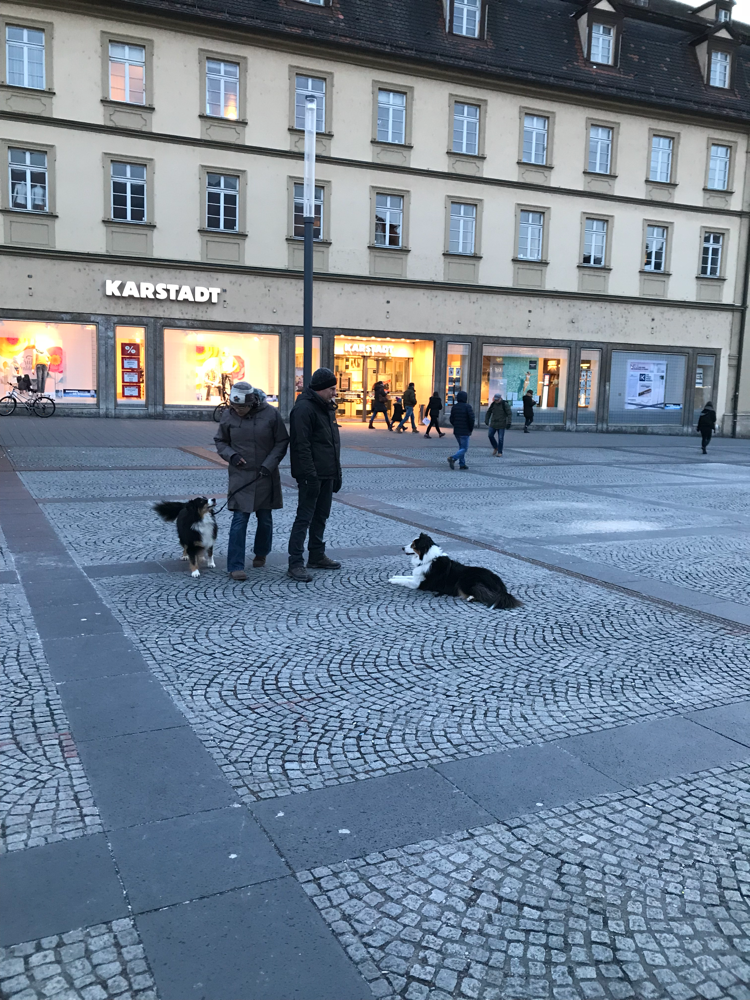 Fotoshooting mit Jasmin Lernwerk Hund Mensch Hundeschule