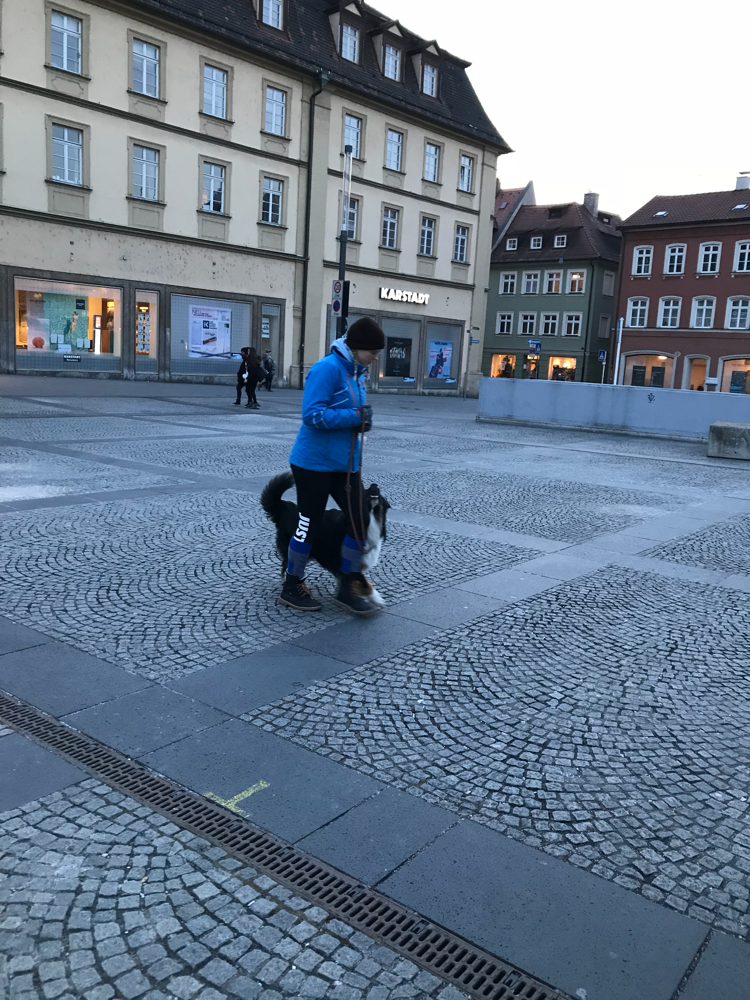Fotoshooting mit Jasmin Lernwerk Hund Mensch Hundeschule