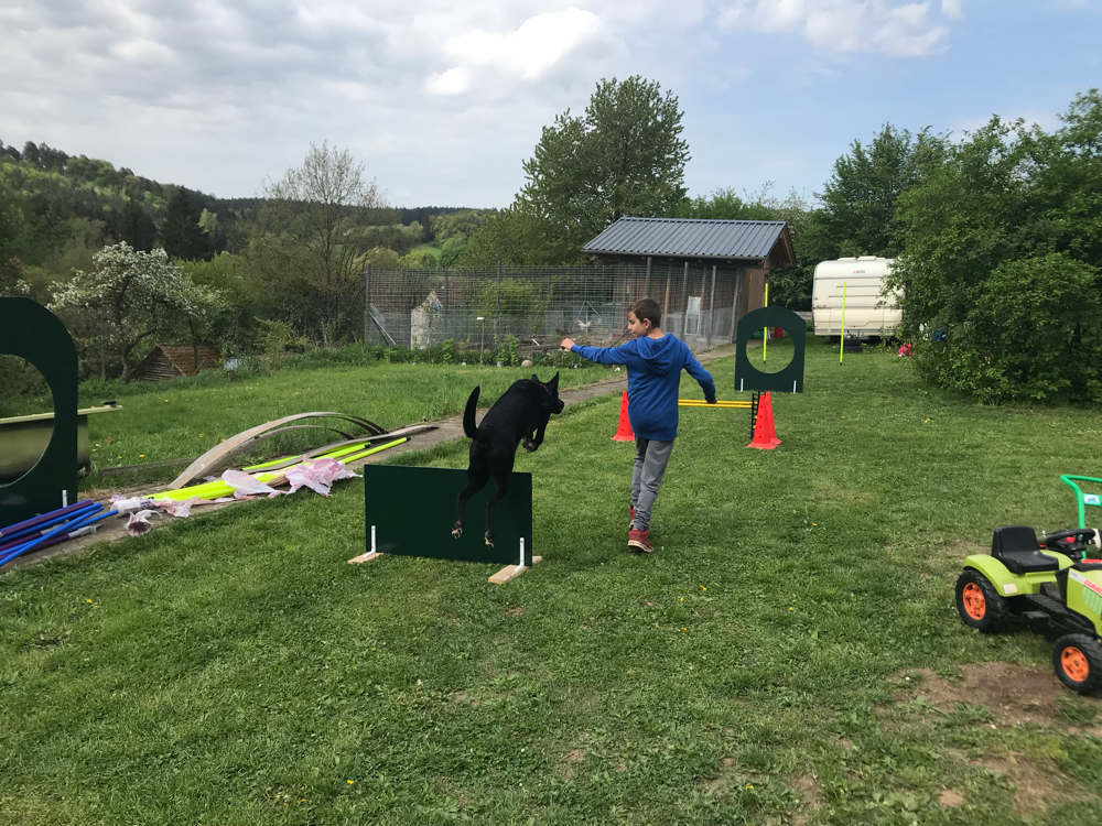 Fotoshooting mit Jasmin Lernwerk Hund Mensch Hundeschule