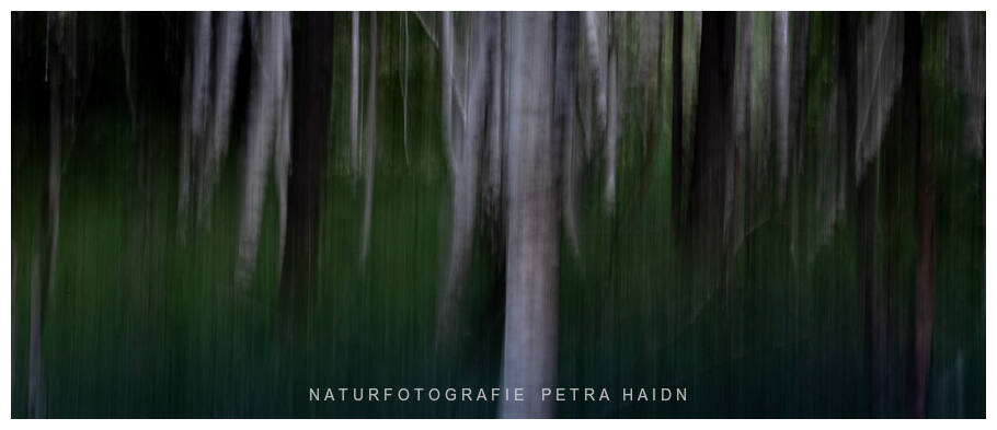 Kreative Natur 18