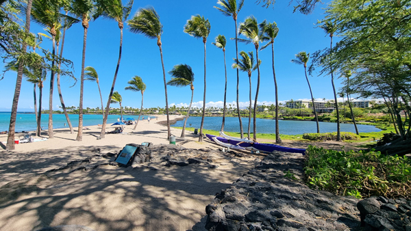 Palmenstrand auf Hawaii