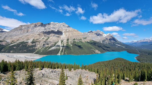 Peyto Lake in den Rocky Mountains