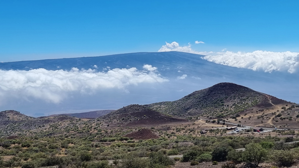 Blick auf den Mauna Lea auf Hawaiian Island