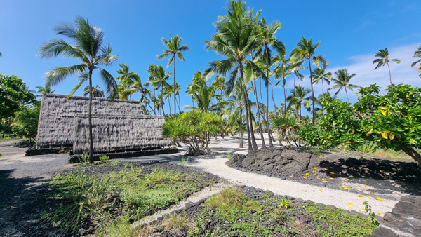 Palmenstrand auf Hawaii