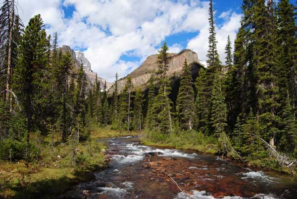 Wildnis in den Rockies
