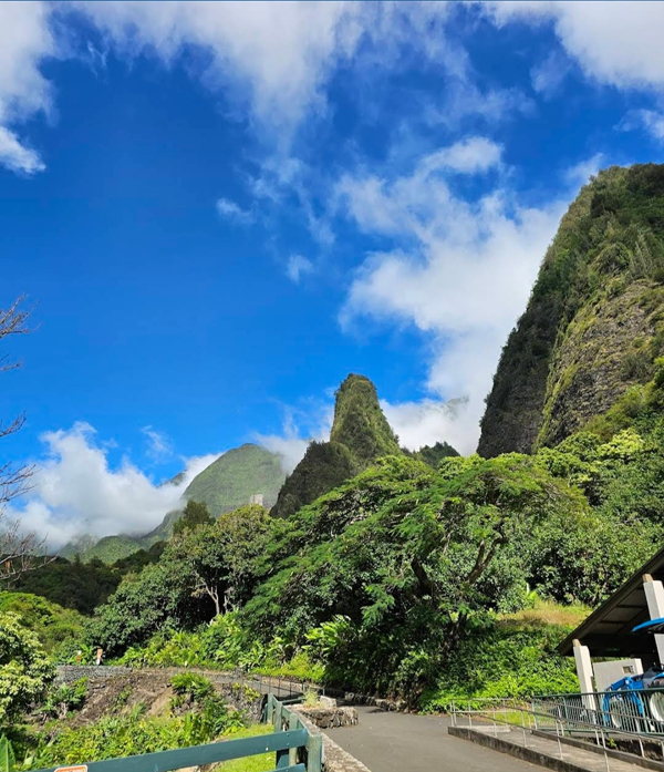 Regenwald auf Maui