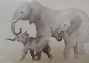 Les éléphants - 50 x 40