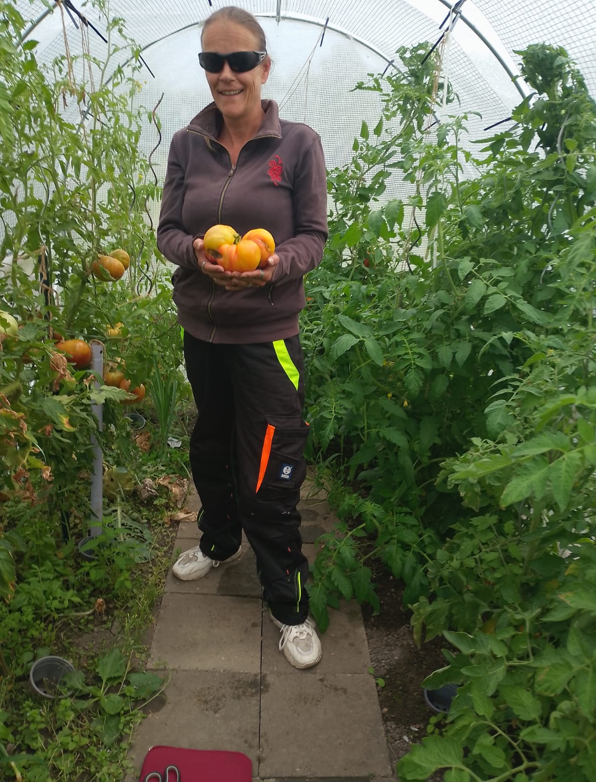 04.08.2024 - Tomate Anja