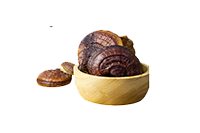 Flüssigextrakt Mischungen