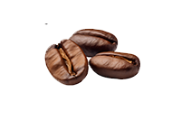 Bio Vitalpilz Kaffee