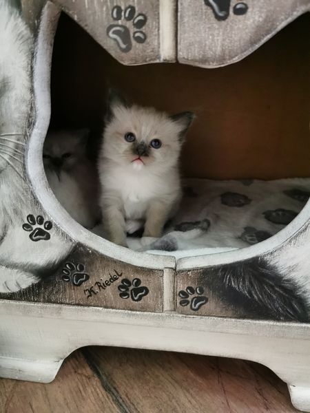 kleines Versteck :-)