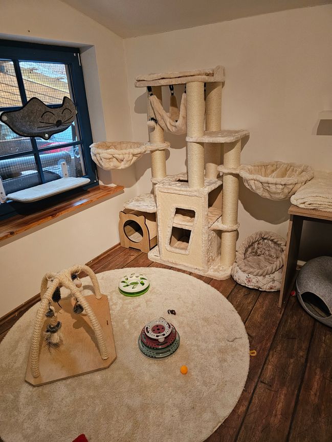 Katzen- Spielplatz im Büro