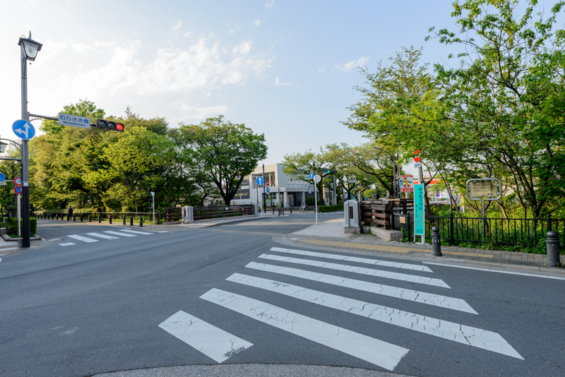 風の散歩道（むらさき橋）９