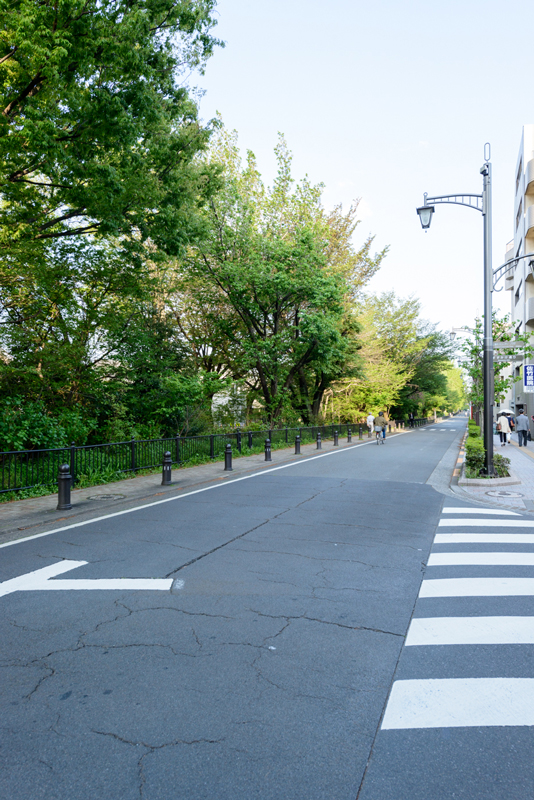 風の散歩道４