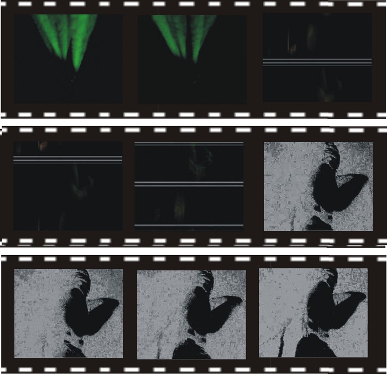 video-2
