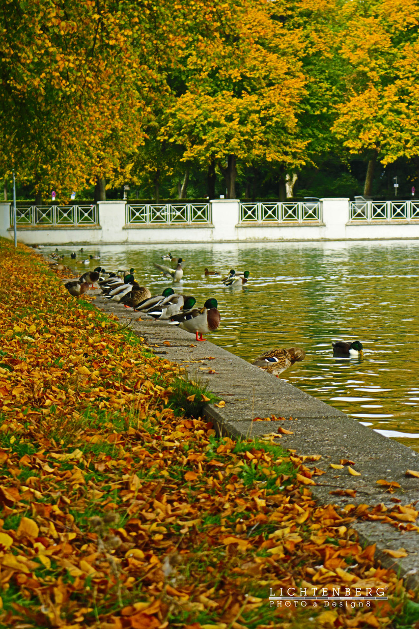 Aachener Weiher | Aachen pond