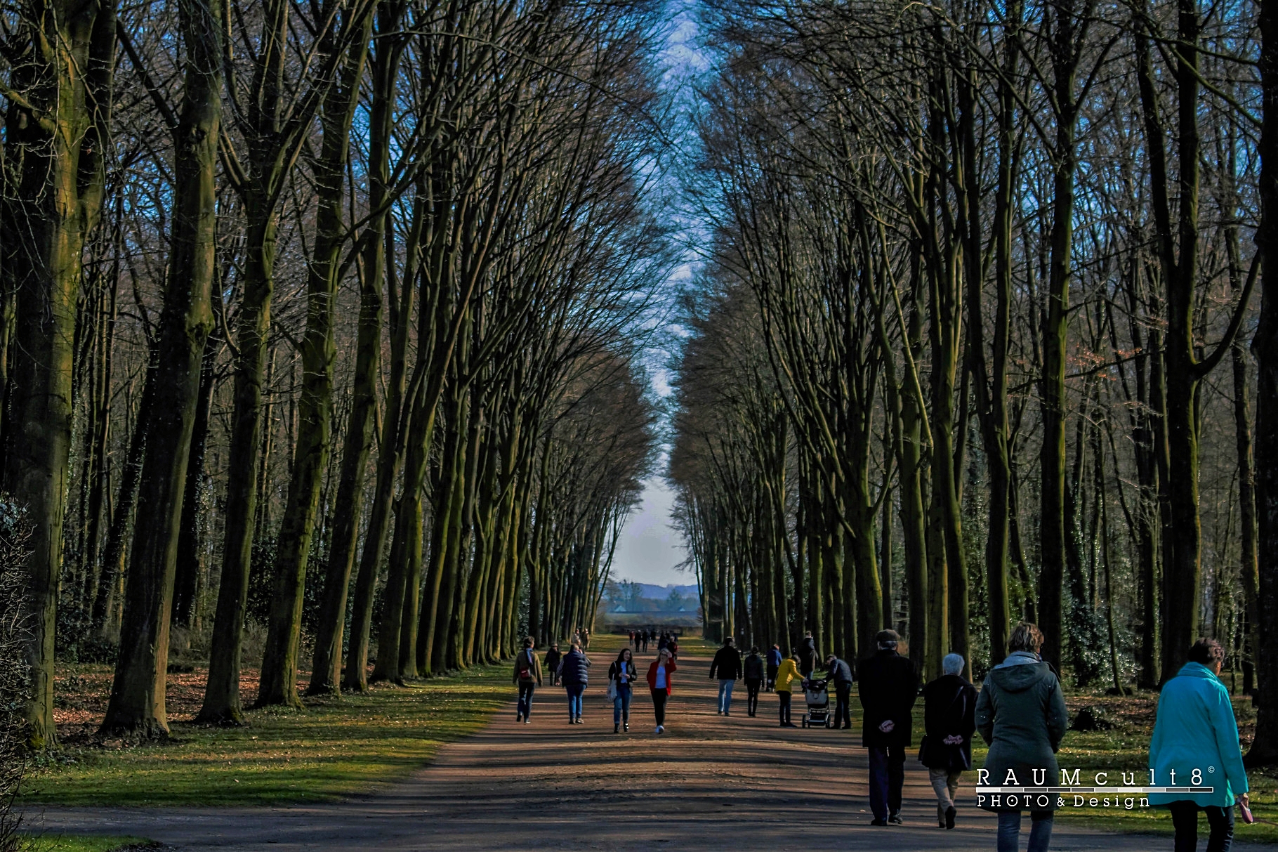Park am Schloss Augustusburg oder Brühler Park |  Park at Castle Augustusburg or Brühl Park