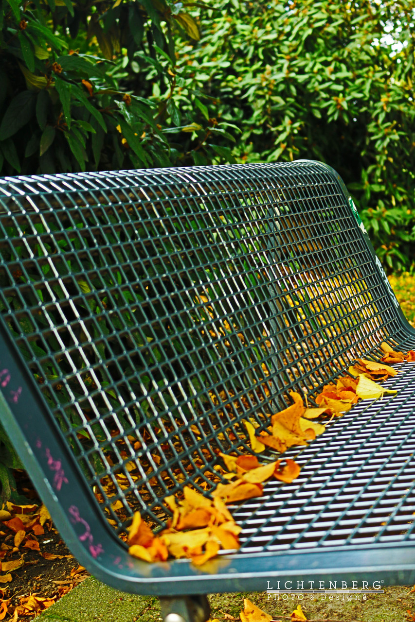 Bank im Herbst |  Bench in autumn