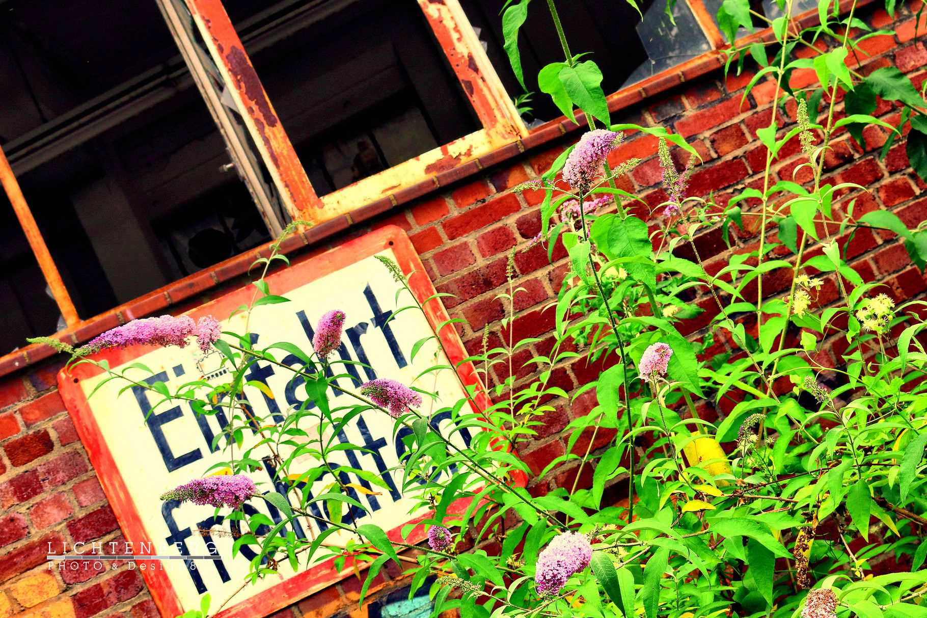 Einfahrt freihalten | Keep entry