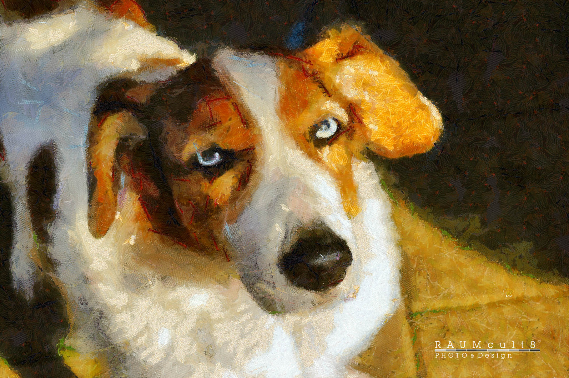 Tierportrait - Benny - Design