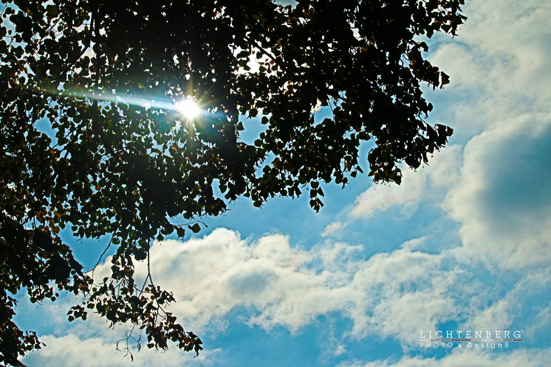Himmel und Sonne im Gegenlicht | Sky and sun in backlight