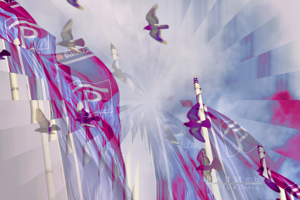 Fahnen und Vögel | Flags and birds 